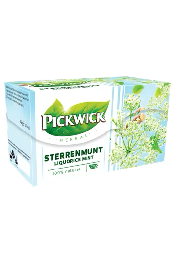 Qoffy-Pickwick-Sterrenmunt thee
